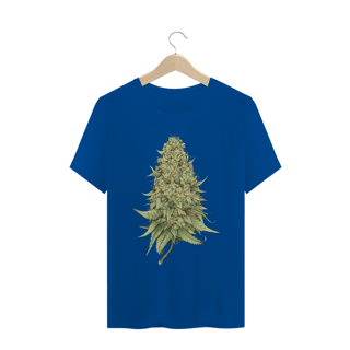 Nome do produto Gold Skank - Sativa