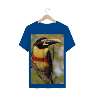 Nome do produto ARAÇARI CASTANHO (Pteroglossus castanotis) - AVE