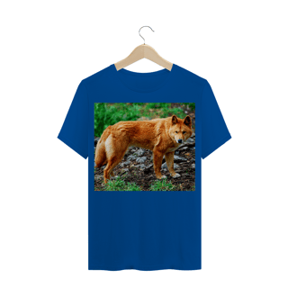 Nome do produto DINGO