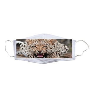 Nome do produtomascara tigre 
