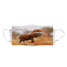 mascara elefante