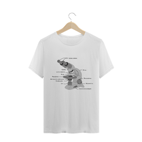 Nome do produto  PARTES DO MICROSCÓPIO