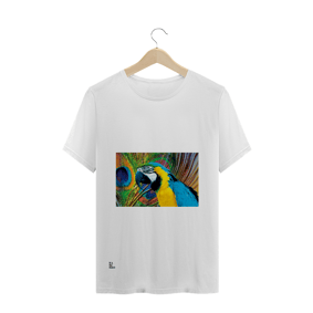 Arara Frame