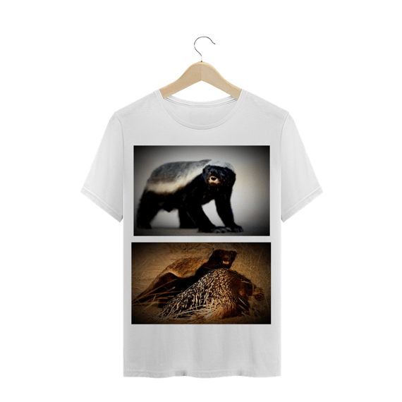 RATEL - TEXUGO DO MEL