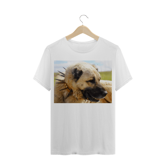 CÃO KANGAL