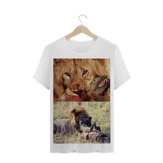 LEÃO MATANDO HIENA / GRANDES FELINOS