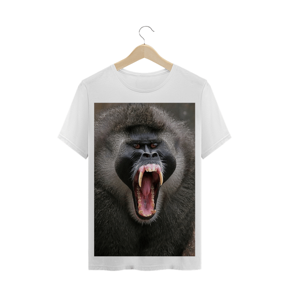 Dril (Mandrillus leucophaeus) - Primata