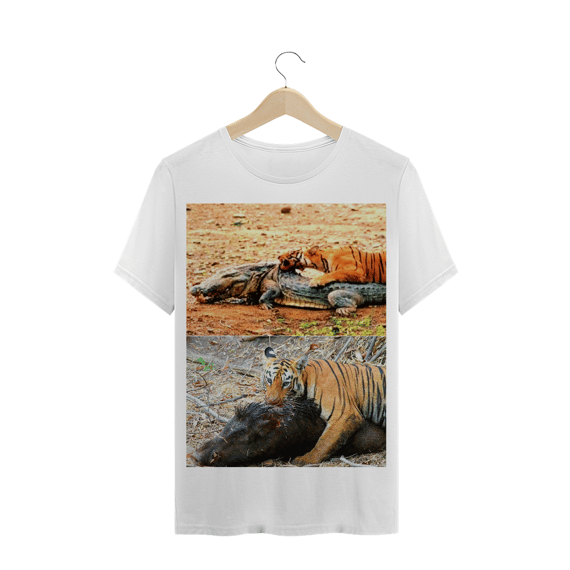 TIGRE PREDANDO CROCODILO E JAVALI
