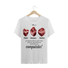 Anatomia do Coração