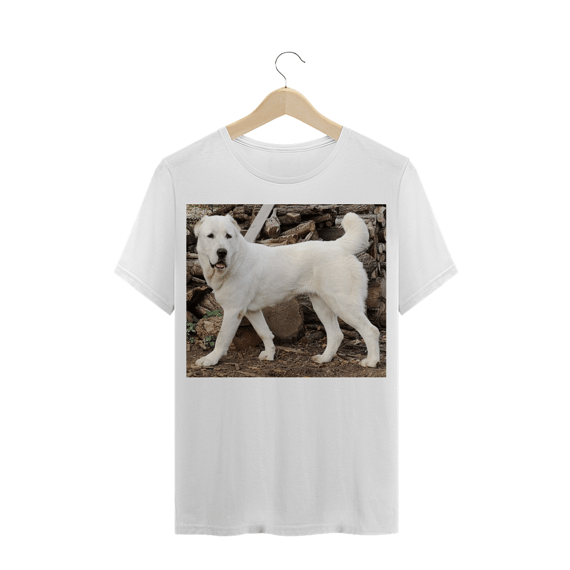 ALABAI / PASTOR DA ÁSIA CENTRAL / CÃO / CACHORRO