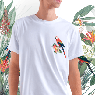 Nome do produtoCamiseta - Passarinhô