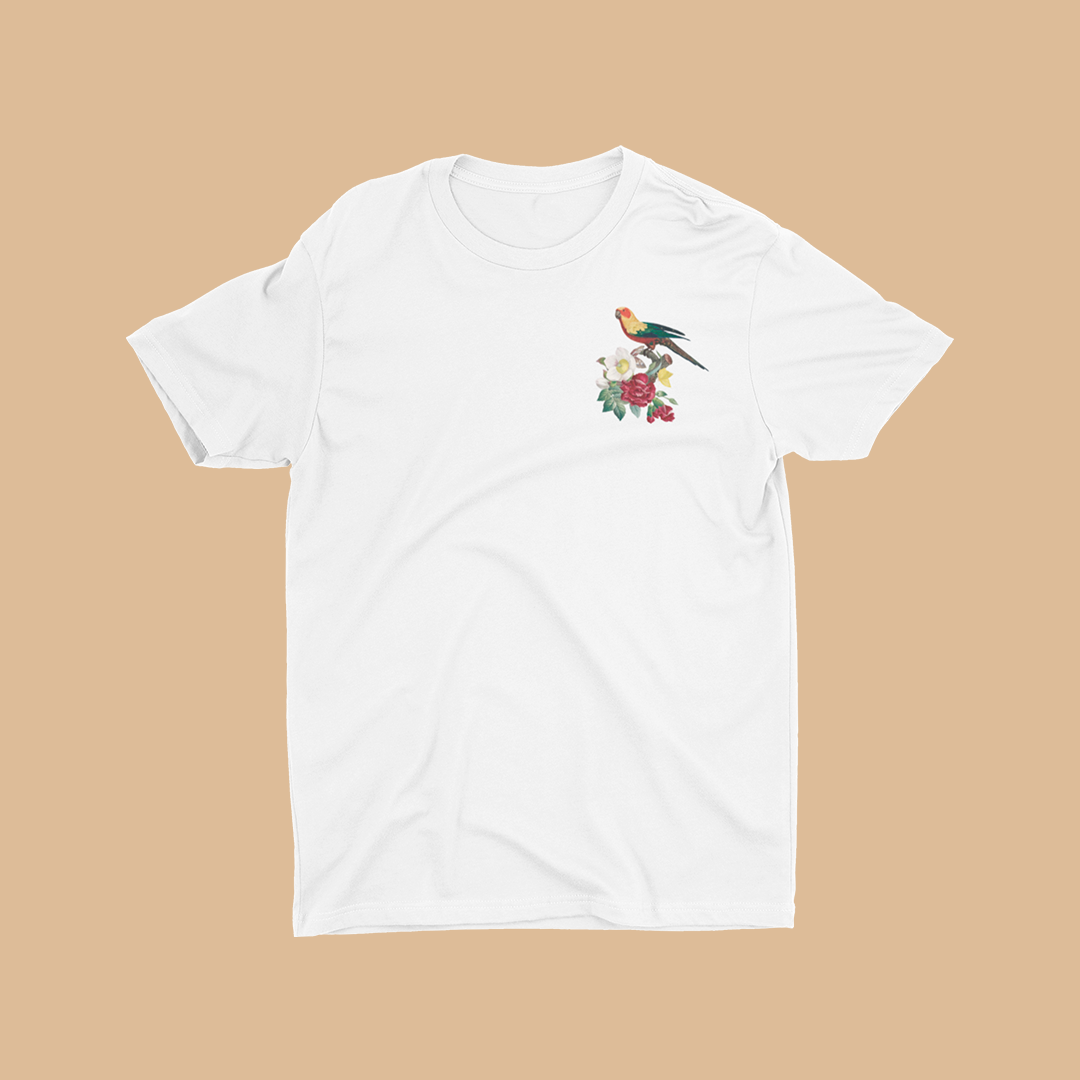 Nome do produto: Camiseta - Passarinhô