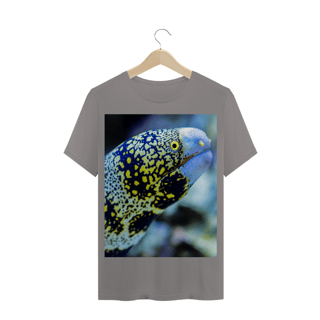 Nome do produto MOREIA ESTRELADA (Echidna nebulosa) - PEIXE