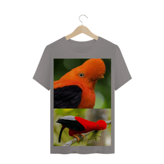 Nome do produto GALO DA SERRA (Rupicola) - AVE