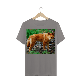 Nome do produto DINGO