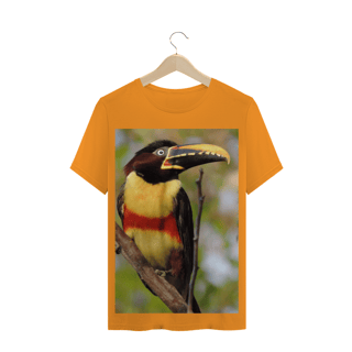 Nome do produto ARAÇARI CASTANHO (Pteroglossus castanotis) - AVE