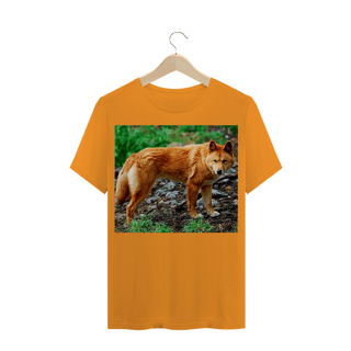 Nome do produto DINGO