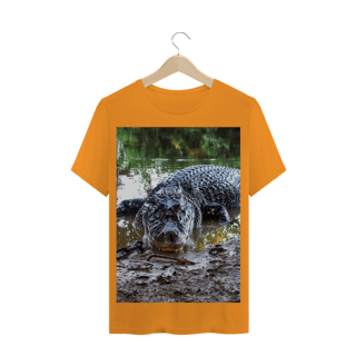 Nome do produto JACARÉ AÇU (Melanosuchus niger)