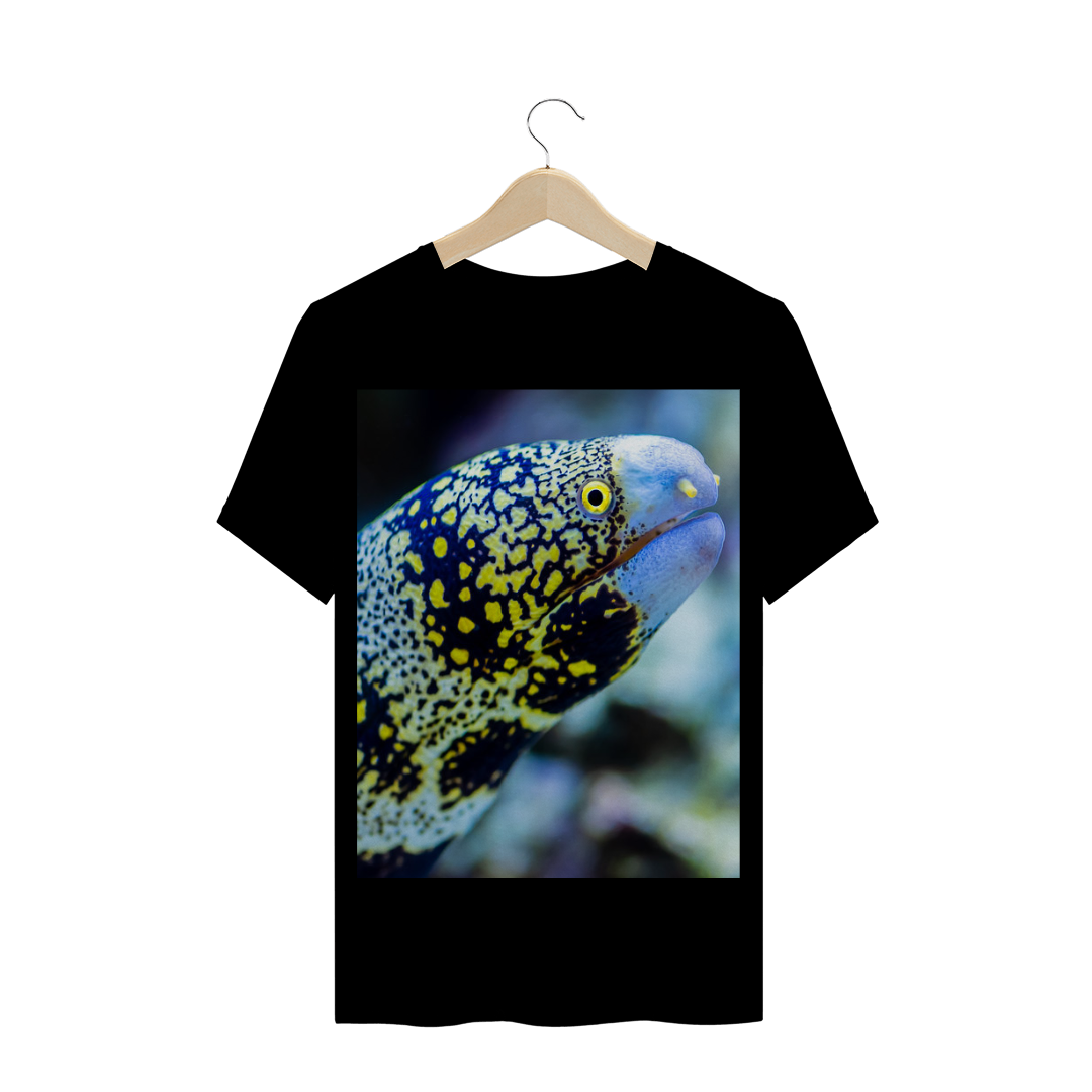 Nome do produto: MOREIA ESTRELADA (Echidna nebulosa) - PEIXE