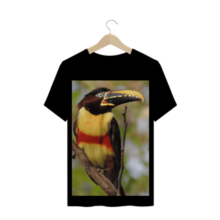 Nome do produto ARAÇARI CASTANHO (Pteroglossus castanotis) - AVE