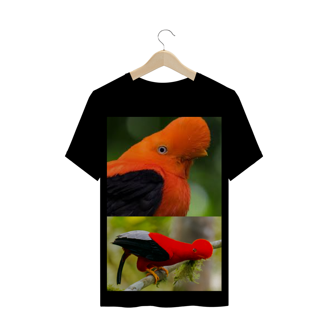 Nome do produto: GALO DA SERRA (Rupicola) - AVE