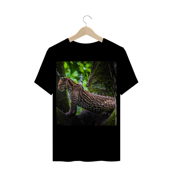 JAGUATIRICA - FELINO