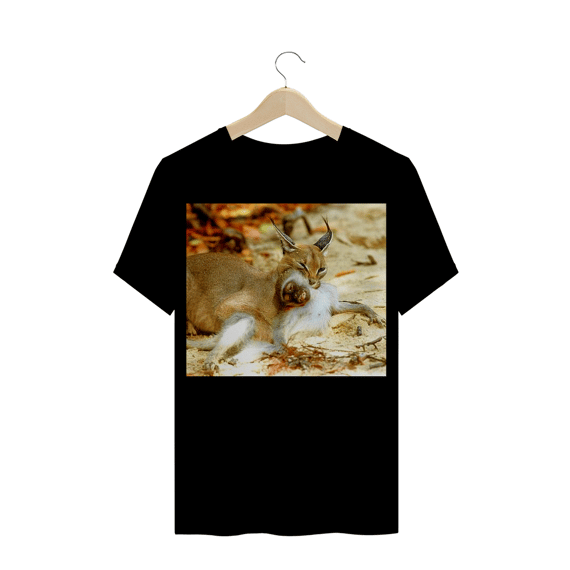 CARACAL PREDANDO MACACO VERVET
