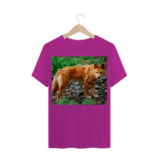 Nome do produto DINGO