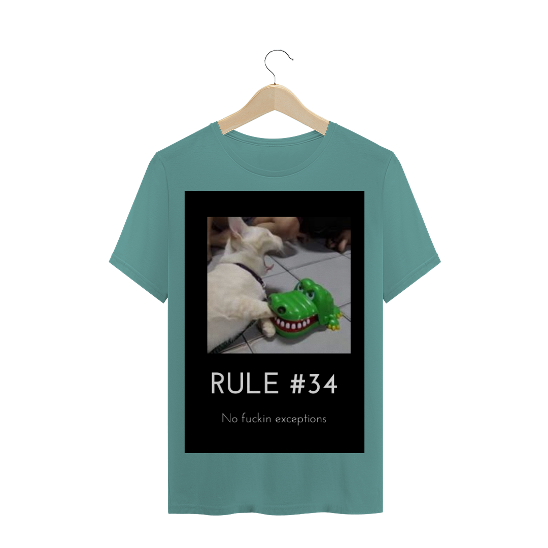 Nome do produto: Camisa Rule #34
