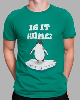 Camiseta Home?