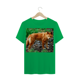 Nome do produto DINGO
