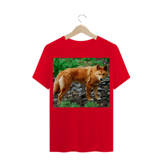 Nome do produto DINGO