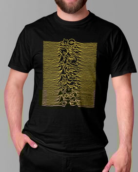Camiseta Pokémon Division 