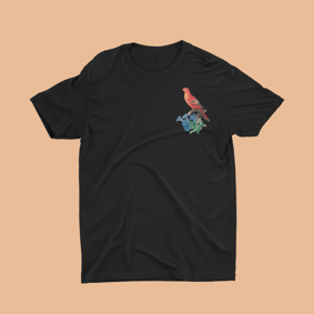 Camiseta - Passarinhô