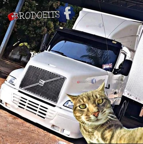 camisetas de caminhao - Camisetas e produtos personalizados