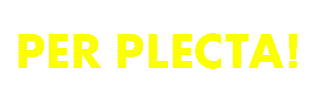 Logo da loja perplecta