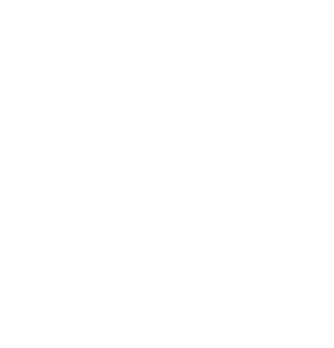 Logo da loja camisa de fazendeiro