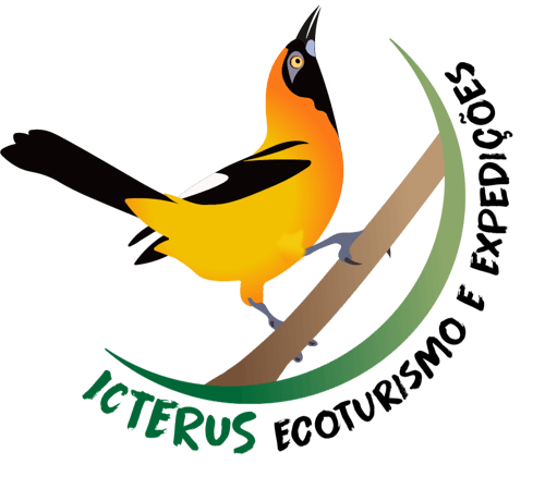 Logo da loja Icterus