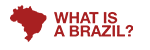 Logo da loja What is a Brazil?