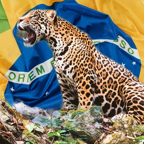 Logo da loja GeneralFreireGomes