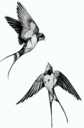 Logo da loja BLINCKDUU