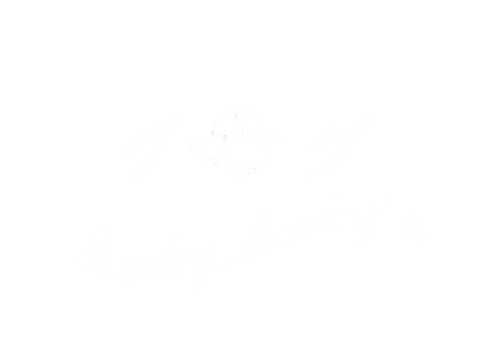 Logo da loja Andy,Andy's Store 