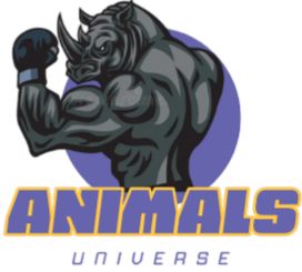 Logo da loja Animals Universe