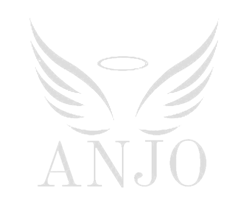 Logo da loja ANJO