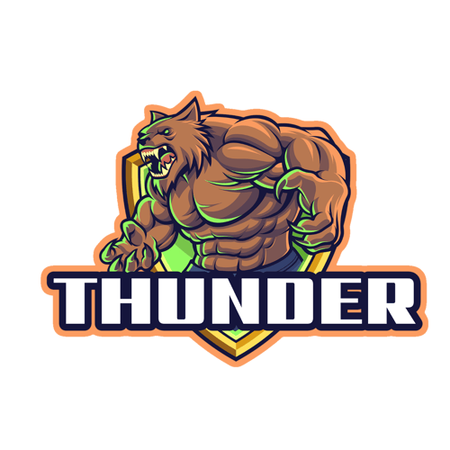 THUNDER STORE - Camisetas e produtos personalizados