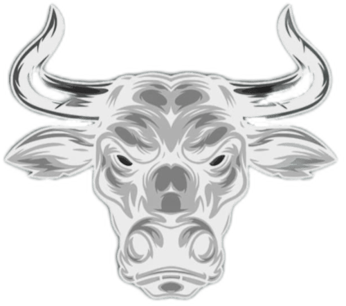 Logo da loja THE BULL'S STORE