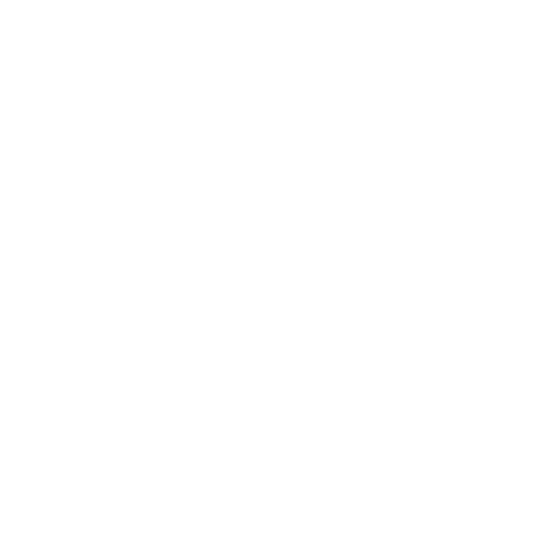 Logo da loja Octopus Silk