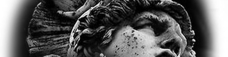 Nome da loja  MD MODEL