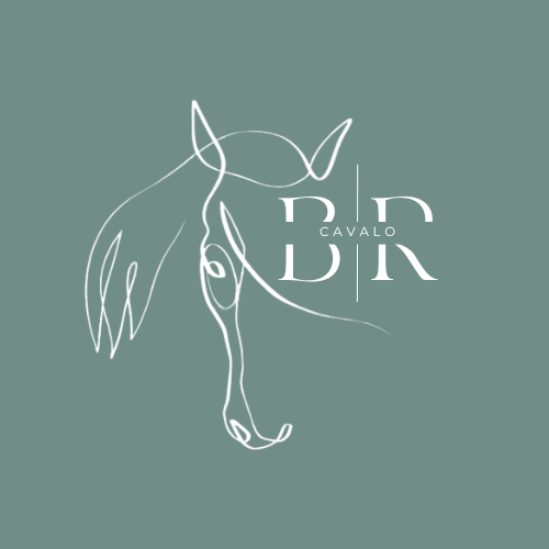 Logo da loja Brenda Rangel