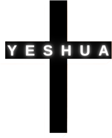 Logo da loja EVANGELION STORE